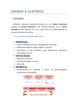 UNIDAD 4.pdf