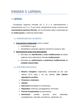 UNIDAD 5.pdf