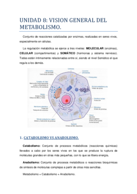 UNIDAD 8.pdf
