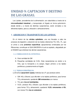 UNIDAD 9.pdf