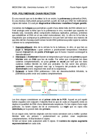 inf1-PCR.pdf