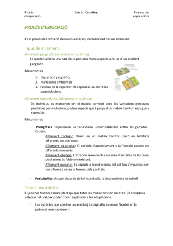 PROCES-DESPECIACIO-PROCESO-DE-ESPECIACION.pdf