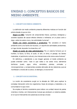 UNIDAD 1.pdf