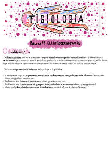 Fisiologia-Practica-12.pdf