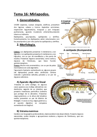 Tema-16.pdf