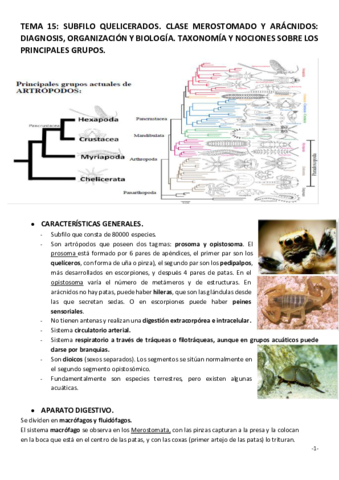 TEMA-15.pdf