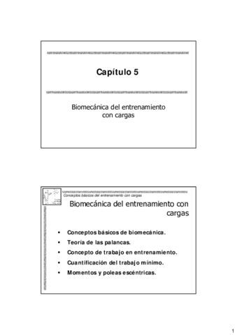 T5.pdf