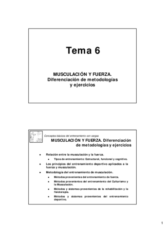 T62016.pdf