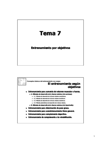 T72018.pdf