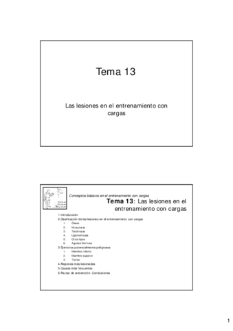 T132016.pdf