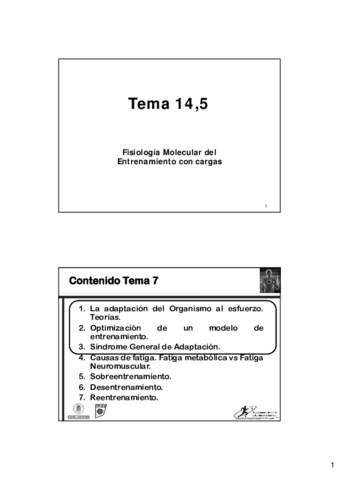 T14.pdf