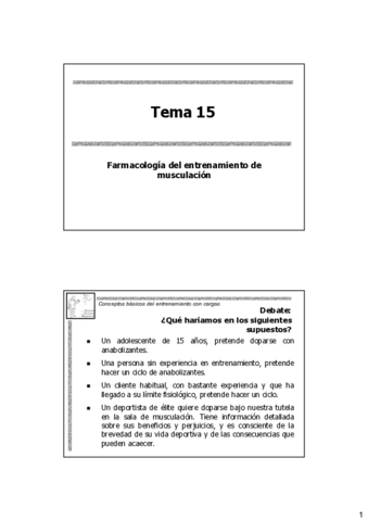 T15.pdf