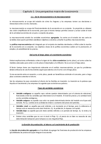 Resumen-Intro-Macro-2010-2011.pdf