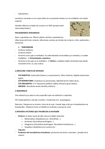 TEMA-21.pdf