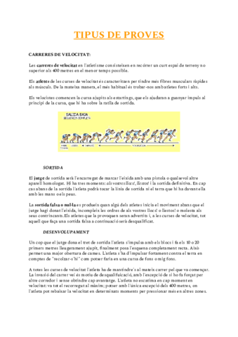 TIPUSPROVES.pdf