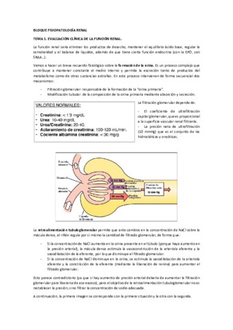 BLOQUE-RENAL.pdf