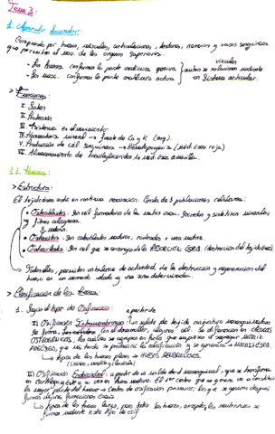 aparato-locomotor.pdf