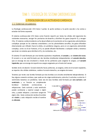 Tema-3-Fisiologia-del-sistema-cardiovascular.pdf