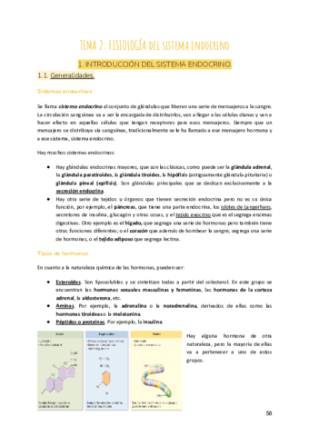 Tema-2-Fisiologia-del-sistema-endocrino-2.pdf