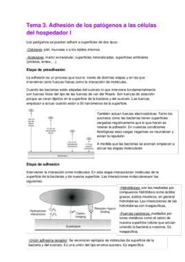 Tema 3. Adhesión de los patógenos a las células del hospedador I.pdf