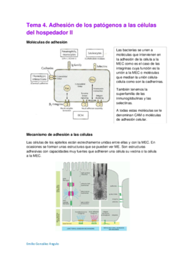 Tema 4. Adhesión de los patógenos a las células del hospedador II.pdf