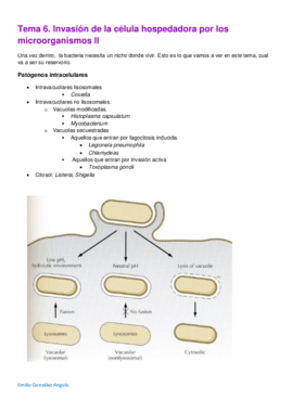 Tema 6. Invasión de la célula hospedadora por los microorganismos II.pdf
