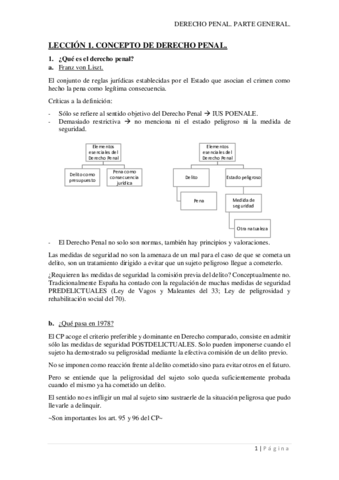 Derecho-Penal.pdf