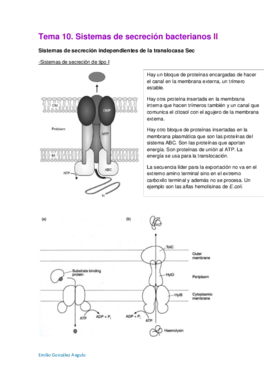Tema 10. Sistemas de secreción bacterianos II.pdf