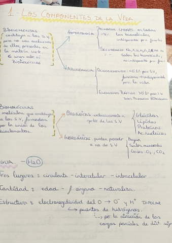 1-Los-componentes-de-la-vida-.pdf