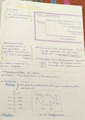 2-Los-glucidos.pdf