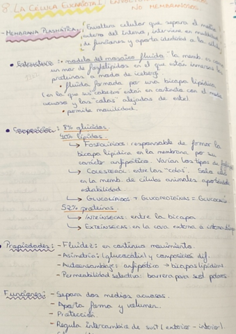 8-La-celula-eucariota-env.-y-org.memb.pdf