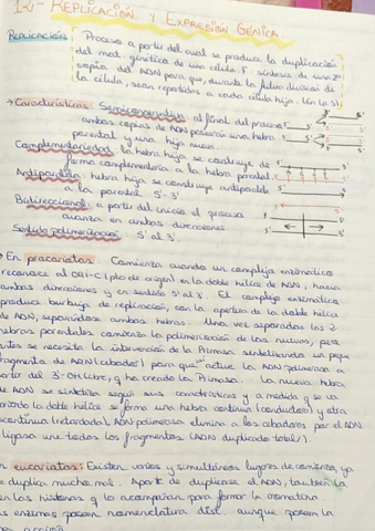 12-Replicacion-y-expresion-genica.pdf