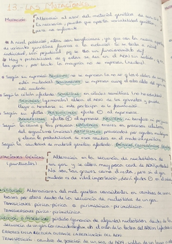 13-Las-mutaciones.pdf