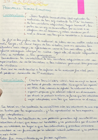 14-La-evolucion.pdf
