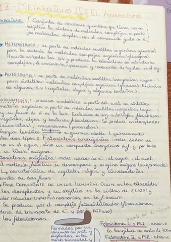 17-Metabolismo-II-Anabolismo.pdf
