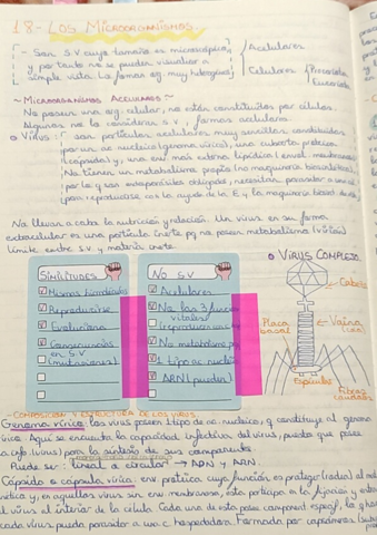 18-Los-microorganismos.pdf