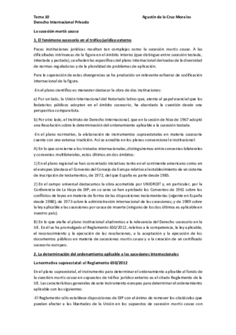 Tema-10-Internacional-Privado-pdf.pdf