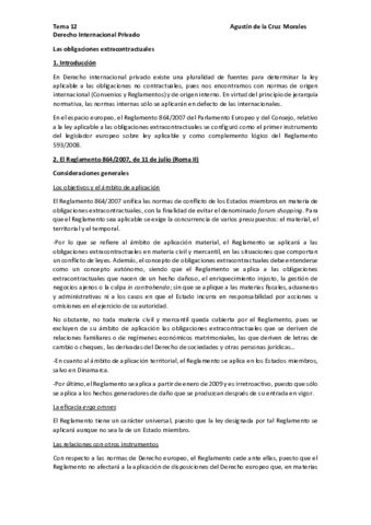 Tema-12-Internacional-Privado-pdf.pdf