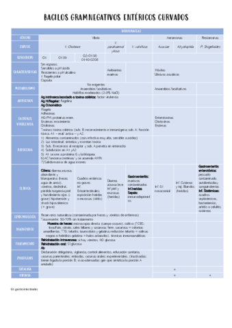 BACILOS-GRAMNEGATVISO-ENTERICOS-CURVADOS1.pdf
