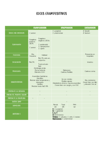 COCOS-GRAMPOSITIVOS.pdf