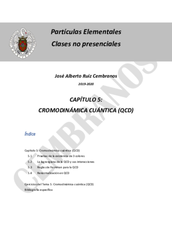 Tema5CromodinamicaFFcc.pdf