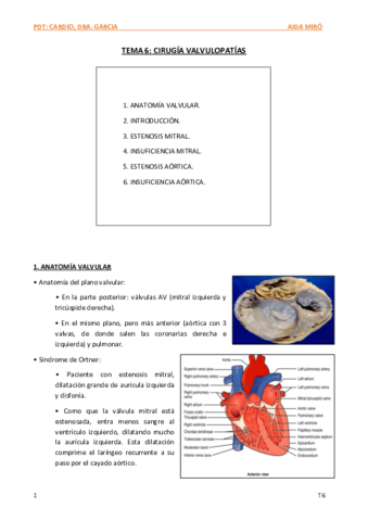 6-Cirugia-valvular.pdf