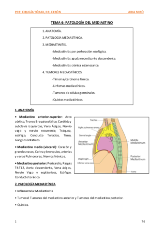 T6-Patologia-mediastinica.pdf