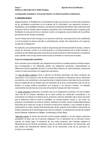 Tema-1-PLUE-pdf.pdf