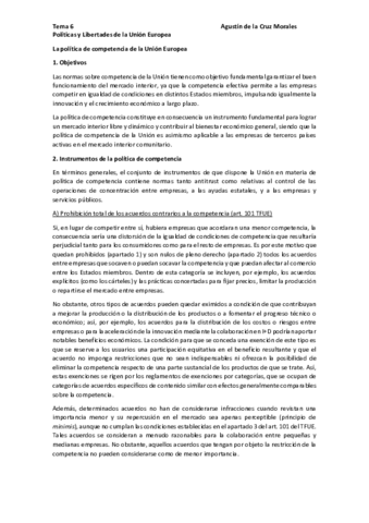 Tema-6-PLUE-pdf.pdf