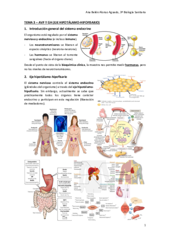 TEMA-3-AVP-Y-GH-EJE-HIPOTALAMO-HIPOFISARIO.pdf