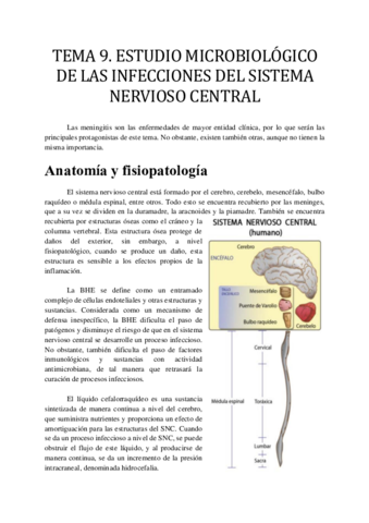 TEMA-9.pdf