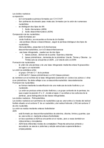 Acidos-nucleicos-.pdf