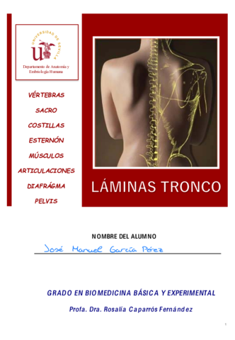 Laminas-1-Tronco.pdf