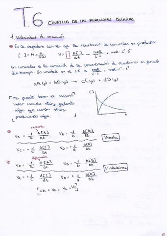 T6-Cinetica-de-las-reacciones-quimicas.pdf